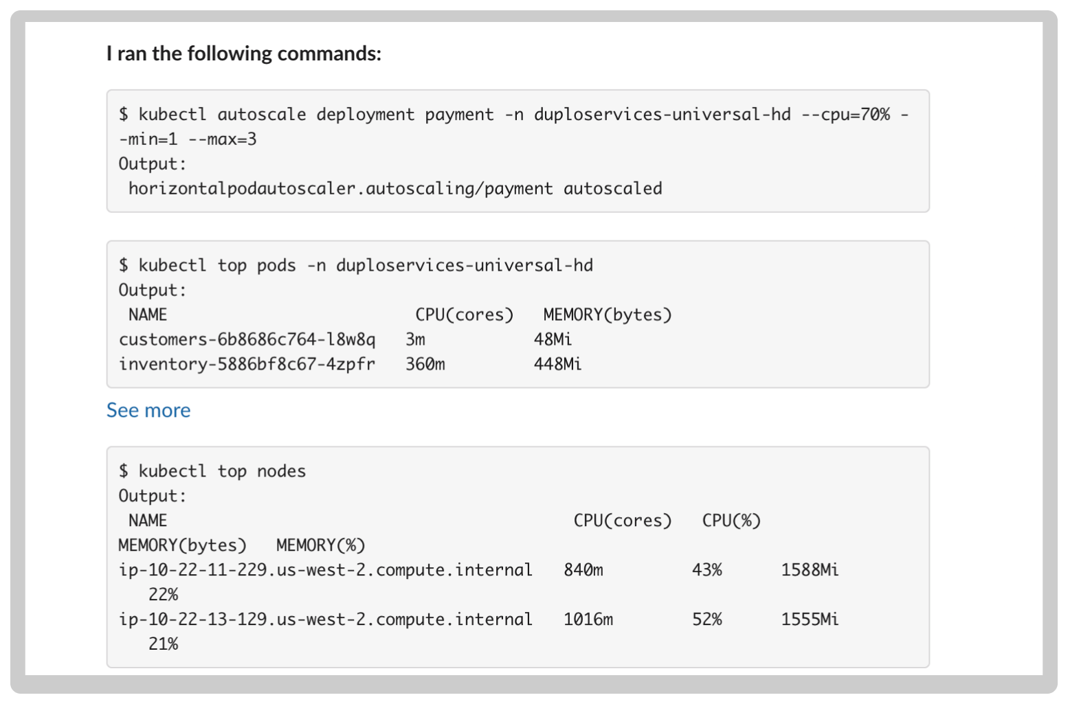 Duplo, the AI software engineer